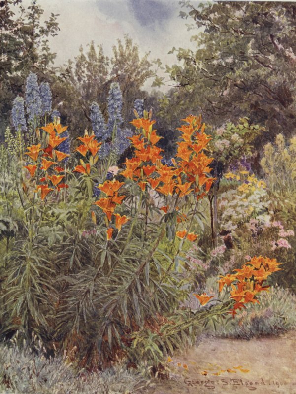 Orange Lilies and Larkspur by George Samuel Elgood