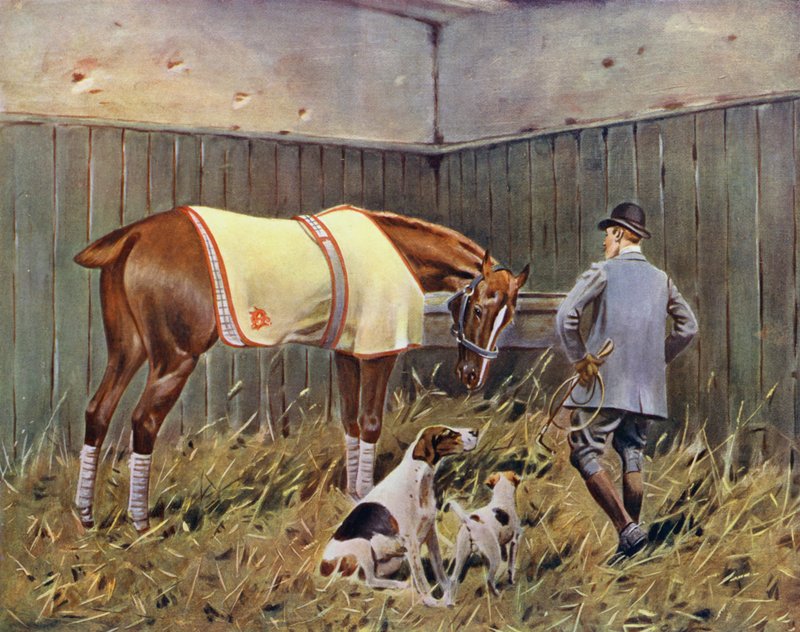 The Sportsman