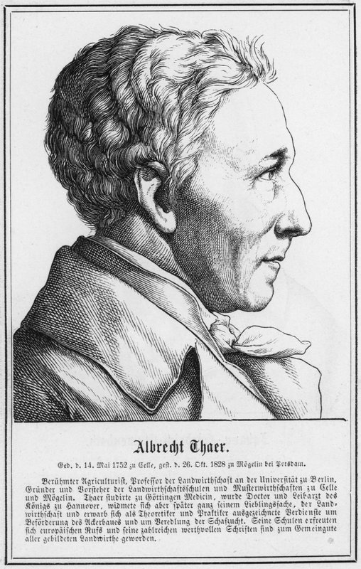 Albrecht Thaer (engraving) by German School