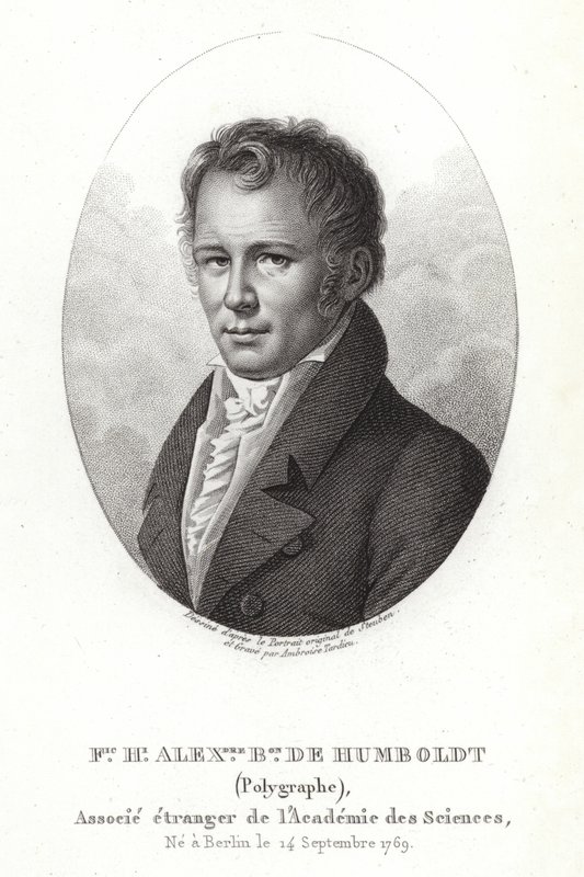 Alexander von Humboldt by German School