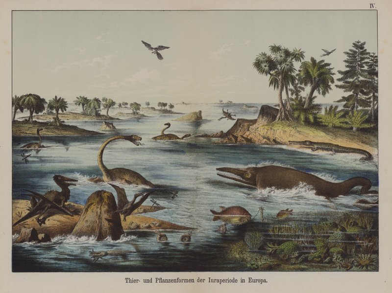 Animals and Plants of the Jurassic Period in Europe by German School