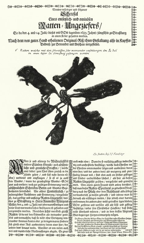 Giant Rats Caught in Strasbourg in 1683 by German School