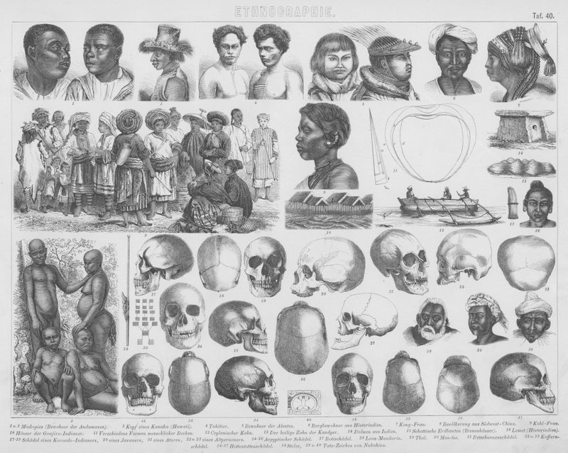 Illustration for Bilder-Atlas: Races and Skulls by German School