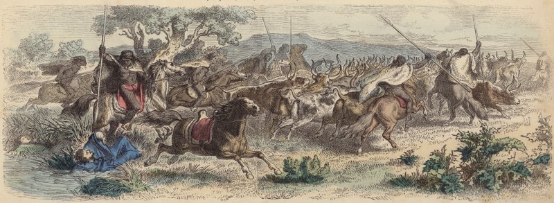 Indians surprising Gauchos on the Pampas and making off with their herd of cattle by German School