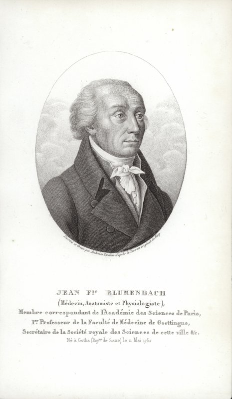 Johann Friedrich Blumenbach by German School