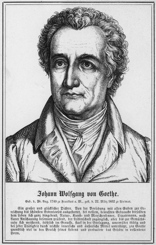 Johann Wolfgang von Goethe by German School