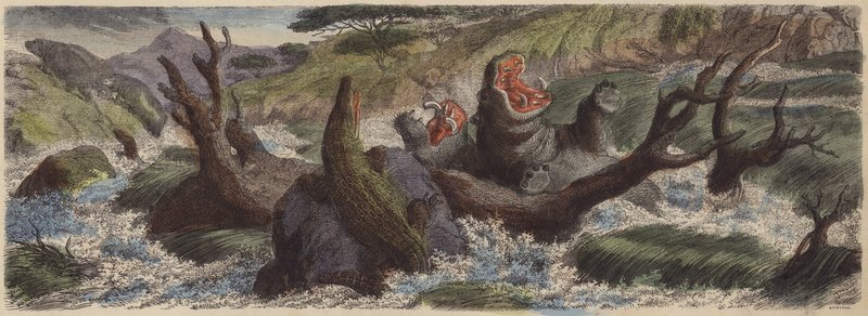 Mountain stream in north-east Africa in flood during the rainy season by German School