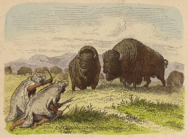 Native Americans Wearing Wolfskins Hunting Buffalo (Coloured Engraving) by German School