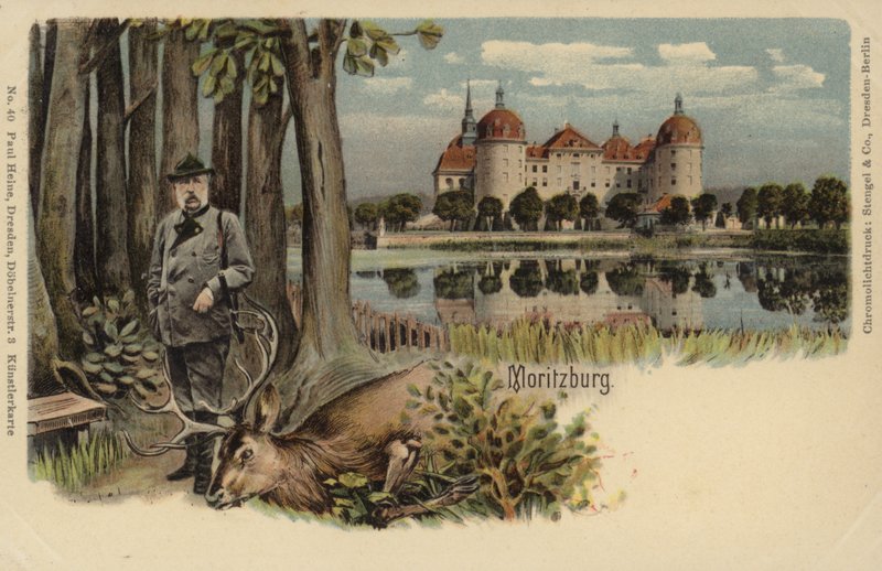 Postcard Depicting a Man with a Shot Stag with Moritzburg Castle in the Background by German School