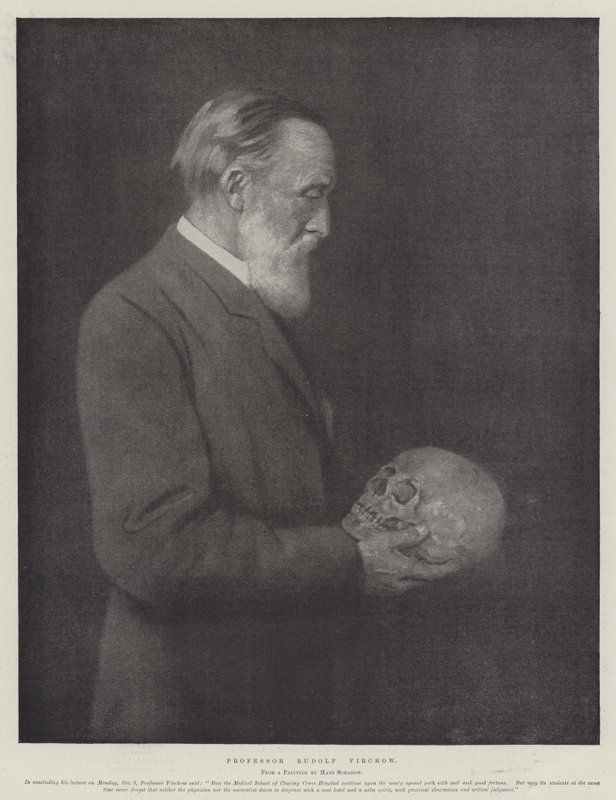 Professor Rudolf Virchow by German School