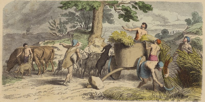 Rural Life in Ancient Greece by German School