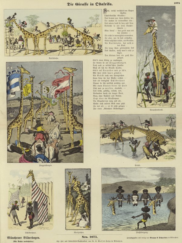 The Giraffe in East Africa by German School