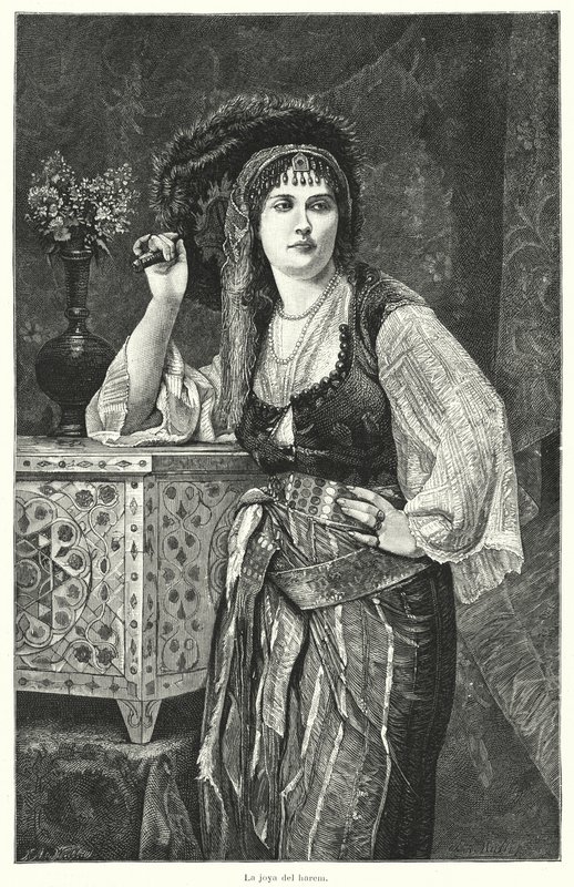 The Jewel of the Harem by German School