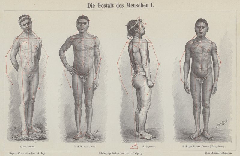 The human figure by German School