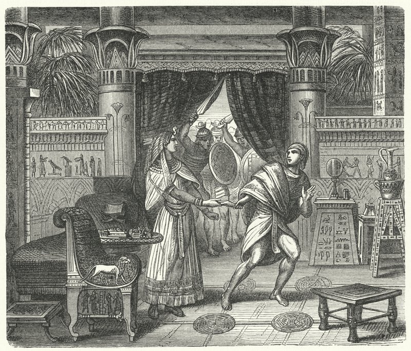 The pharaoh