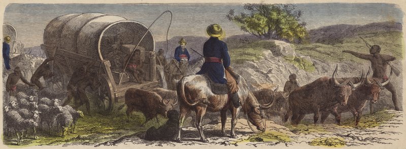 Wagon train in South Africa by German School