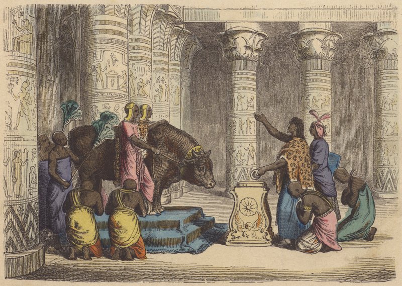 Worship of the Apis Bull in Ancient Egypt by German School