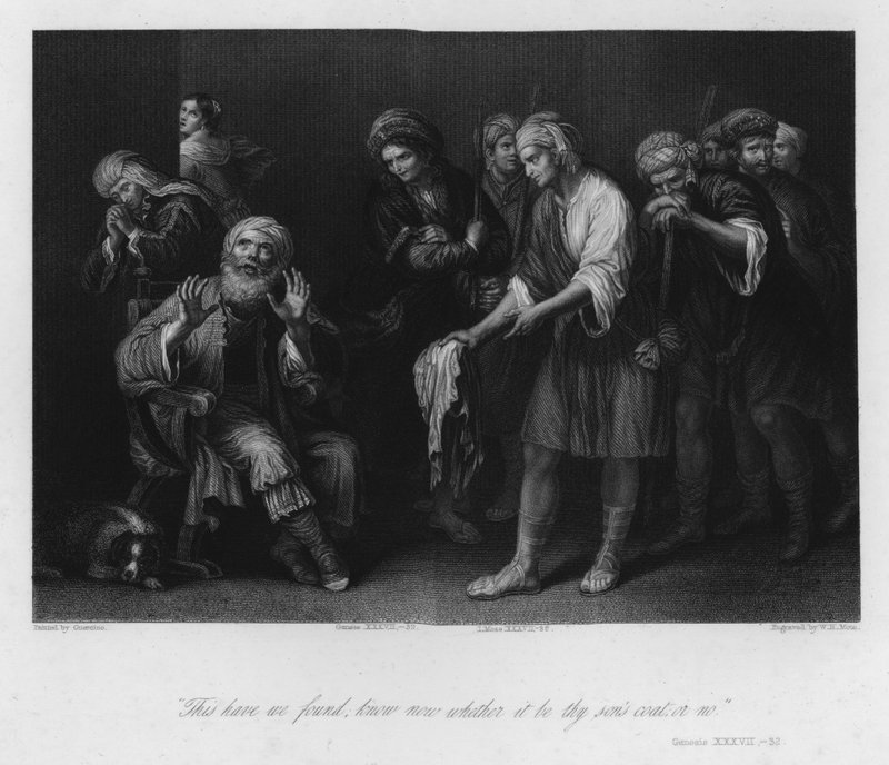 Jacob deceived by the Bloody Coat, Genesis XXXVII, 32 by Guercino