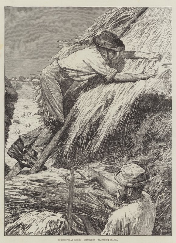 Agricultural Scenes, September, Thatching Stacks by Gunning King