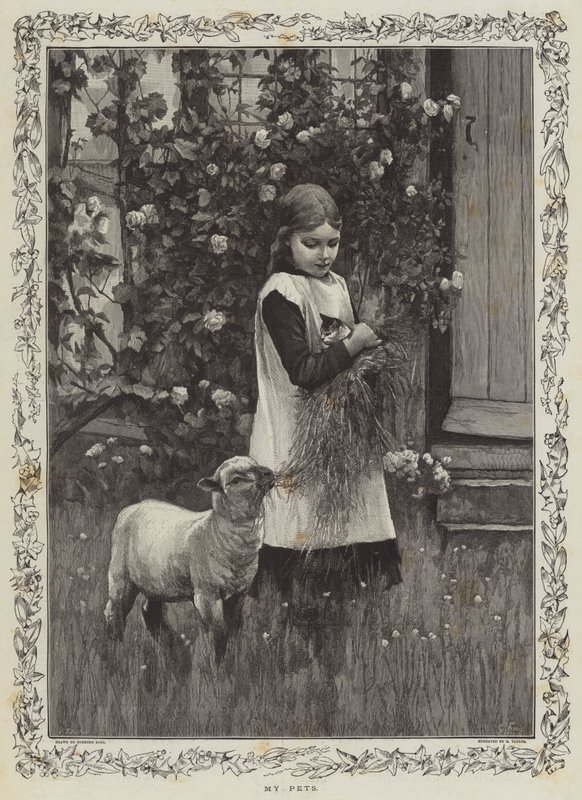 My Pets by Gunning King