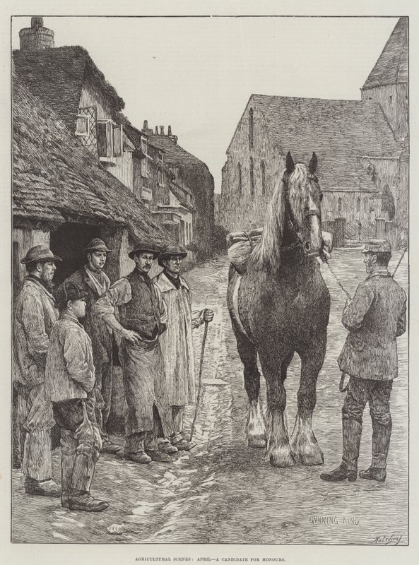 Agricultural Scenes, April, a Candidate for Honours by Gunning King