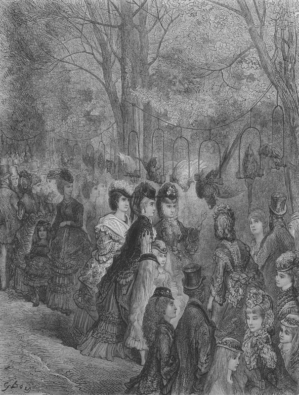 Zoological Garden, The Birds by Gustave after Dore