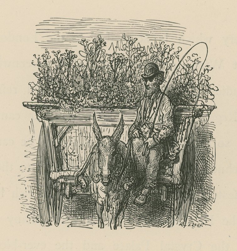 A Man Driving a Cart Laden with Plants and Flowers by Gustave Dore