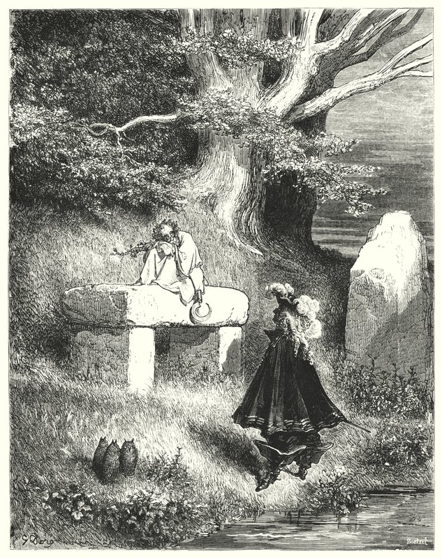 Donkey Skin by Gustave Dore