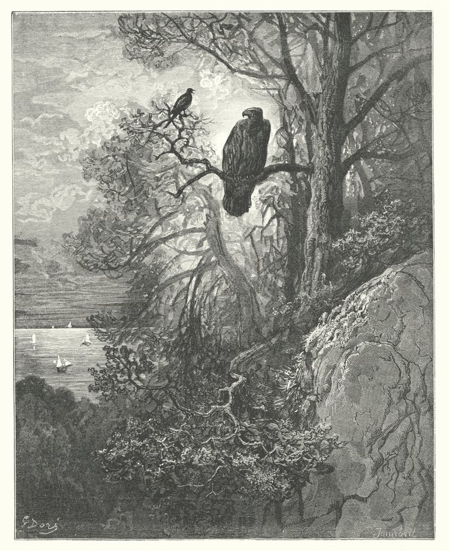 The Fables of La Fontaine: The Eagle and the Magpie by Gustave Dore
