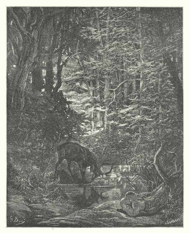 The Fables of La Fontaine: The Stag Viewing Himself in the Stream by Gustave Dore