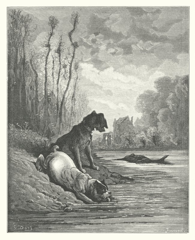 The Fables of La Fontaine: The Two Dogs and the Dead Ass by Gustave Dore