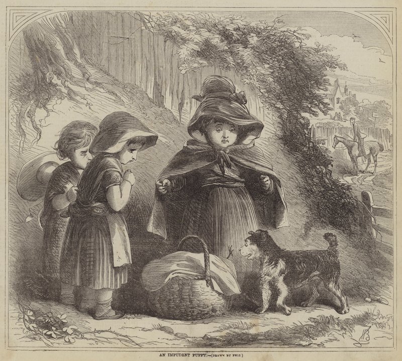 An Impudent Puppy by Hablot Knight Browne