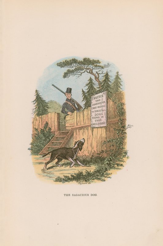 Illustration for Pickwick Papers by Hablot Knight Browne