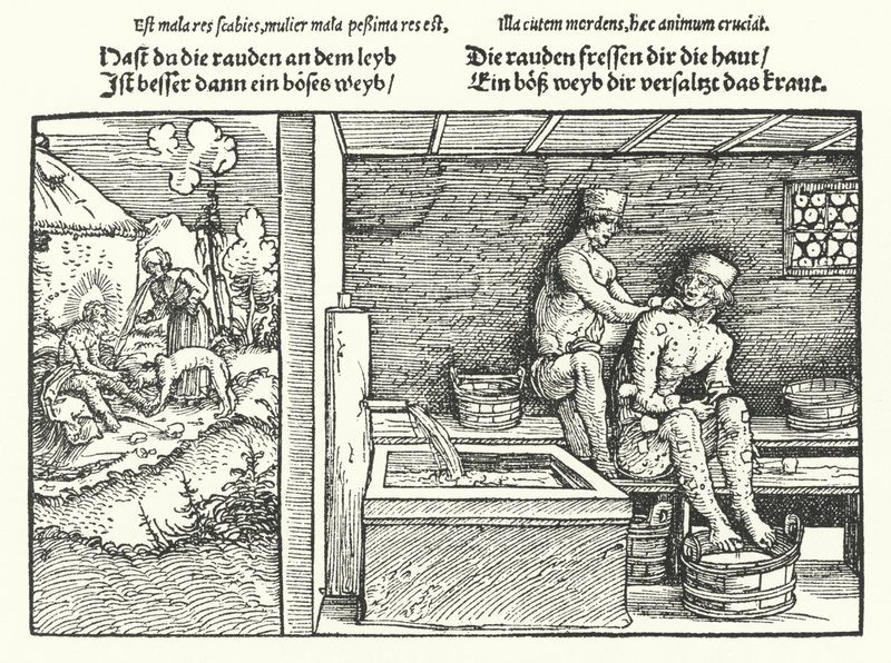 Scabies by Hans (after) Burgkmair