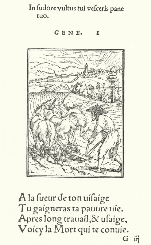 The Ploughman, or Farmer (engraving) by Hans (after) Holbein the Younger