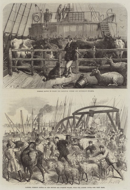 Shipping Livestock by Harden Sidney Melville