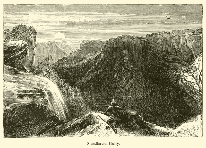 Shoalhaven Gully by Harden Sidney Melville