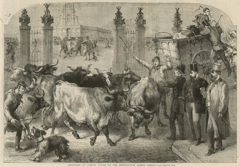 Inspection of Foreign Cattle at the Metropolitan Cattle Market by Harden Sidney (after) Melville