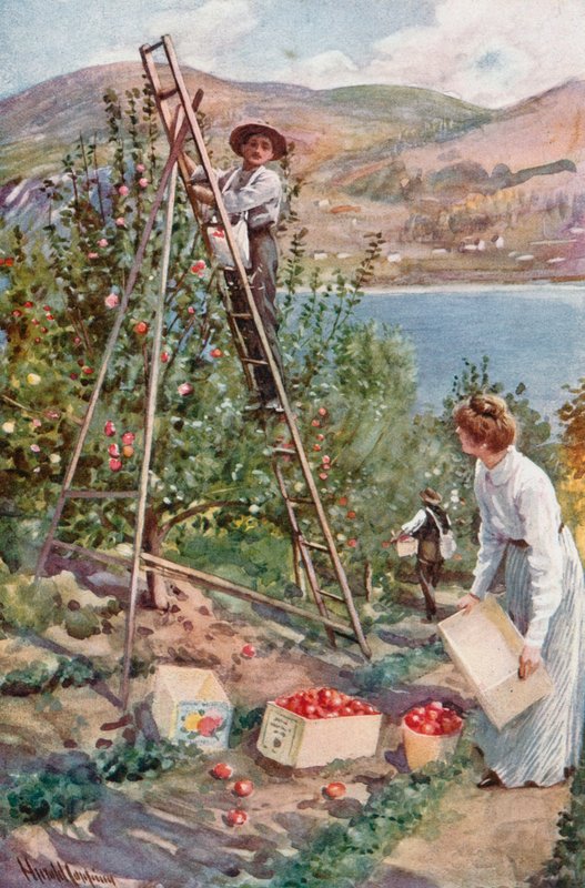 A Fruit Ranch at Nelson, British Columbia by Harold Copping