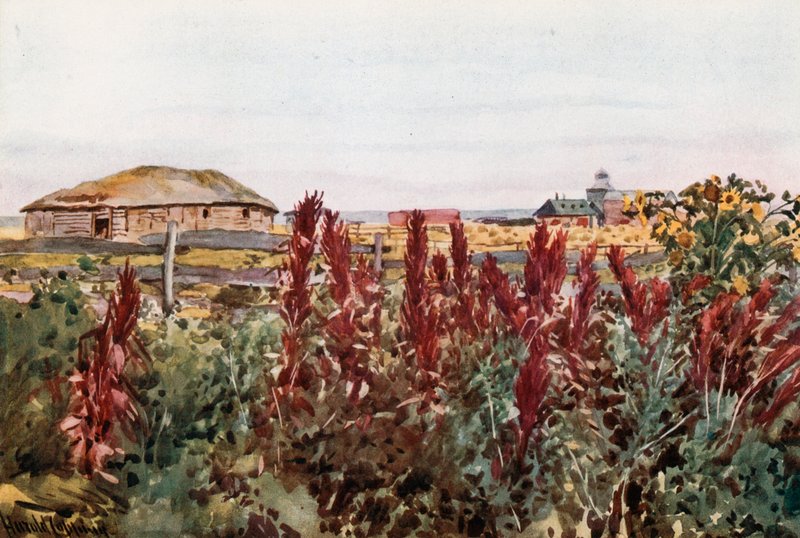 A Kitchen Garden at Veregin by Harold Copping