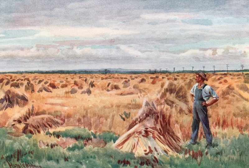 Along the Wheat Fields of Manitoba by Harold Copping