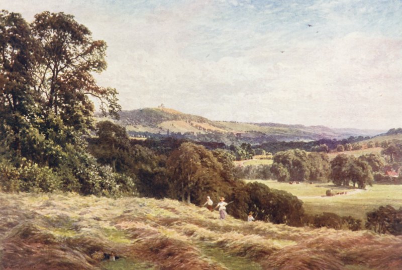 A Hayfield, Wonersh by Harold Sutton Palmer