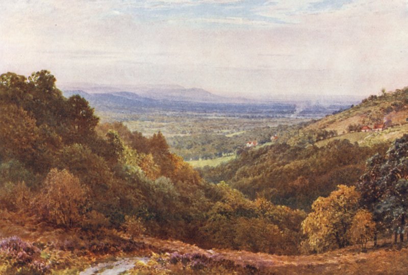 A Wide Stretch, from the Gibbet, Hindhead by Harold Sutton Palmer
