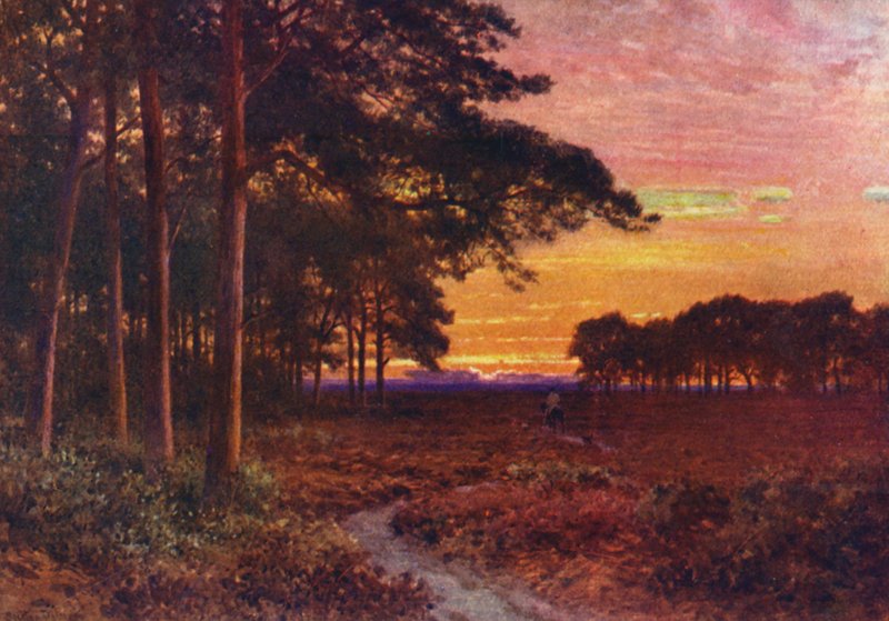 Evening on the Moors, Hindhead by Harold Sutton Palmer