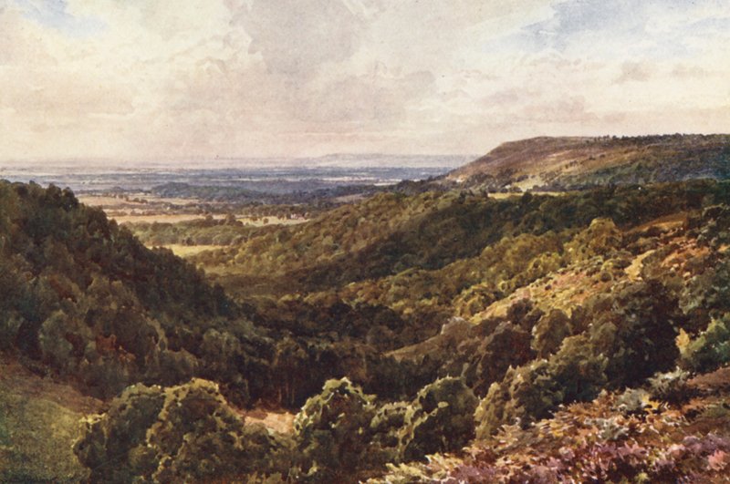 From the Hills Above Peaslake, Near Gomshall by Harold Sutton Palmer