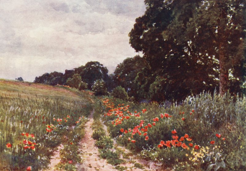 Poppies by Harold Sutton Palmer