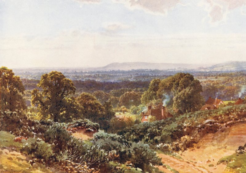 Sandhills, looking towards Blackdown by Harold Sutton Palmer
