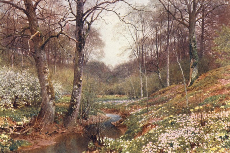 Spring Blossoms, near Dorking by Harold Sutton Palmer