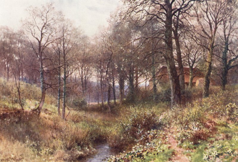 The Farm midst the Woods, near Haslemere by Harold Sutton Palmer