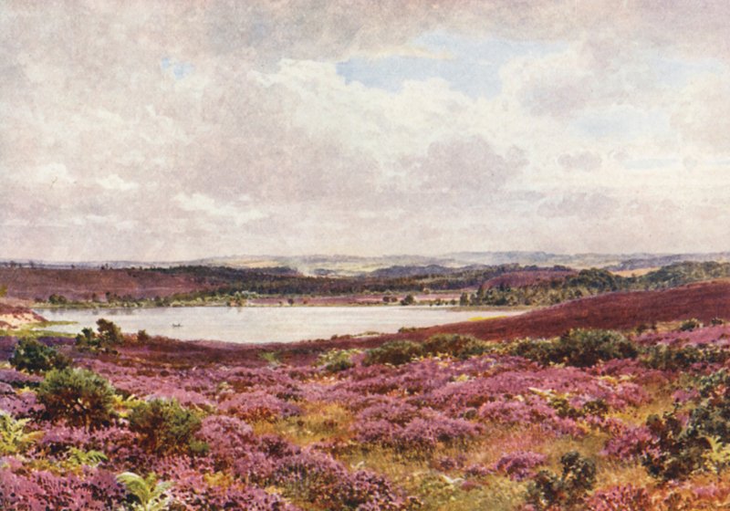 The Great Pond, Frensham by Harold Sutton Palmer